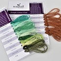 Sample Card